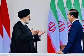 تصاویر دیدار رئیس جمهور اندونزی با دکتر رئیسی