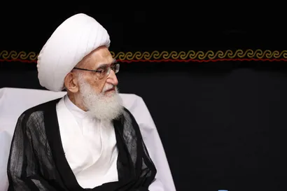 تصاویر دیدار با آیت الله العظمی نوری همدانی