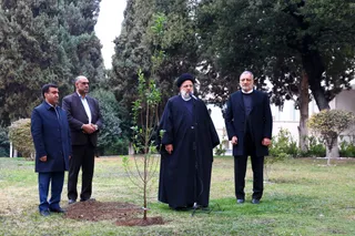 مراسم روز درختکاری
