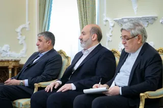 تصاویر دیدار مدیرکل آژانس بین المللی انرژی اتمی با رئیس جمهور