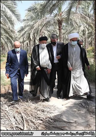 تصاویر دیدار و گفتگو با نخل داران منطقه تنگستان