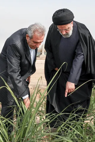 افتتاح پروژه آبیاری نوین زیر سطحی هوشمند