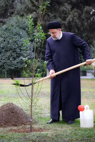 مراسم روز درختکاری