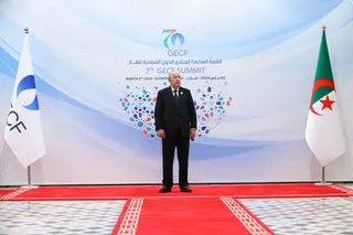 عکس یادگاری هفتمین نشست مجمع سران کشورهای صادرکننده گاز