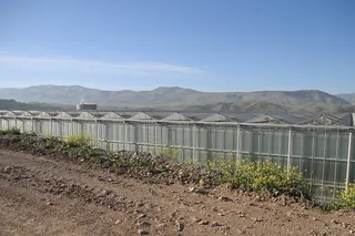 بازدید آیت الله رئیسی از مجموعه ۲ هزار هکتاری کشت و صنعت لرستان