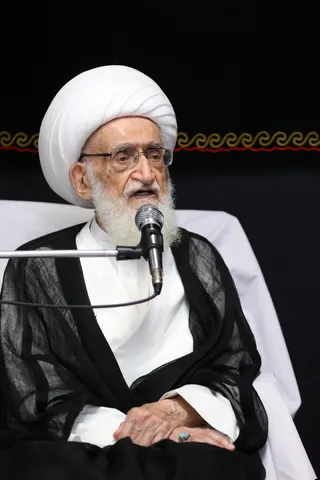 تصاویر دیدار با آیت الله العظمی نوری همدانی