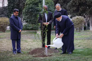 مراسم روز درختکاری