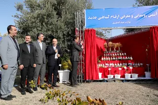تصاویر مراسم روز درختکاری