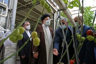 بازدید آیت الله رئیسی از مجموعه ۲ هزار هکتاری کشت و صنعت لرستان